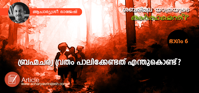 ശബരിമല യാത്രയുടെ അര്‍ത്ഥമെന്ത് ? – ഭാഗം ആറ്